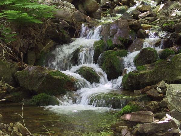 DOĞAL GÜZELLİKLERİMİZ